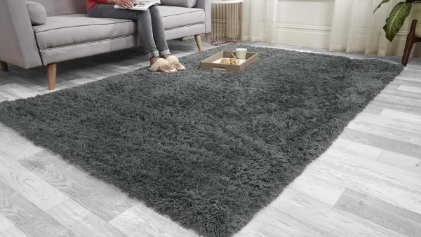 rug 5
