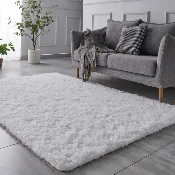rug 6