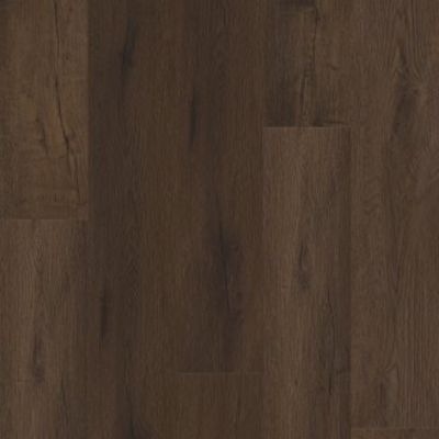 Midnight Oak Hayat